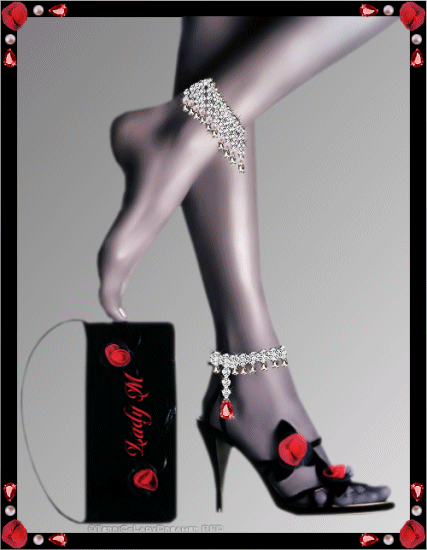photo anklebracelet-ladym.gif